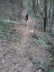 llinars_IMG_0974.jpg