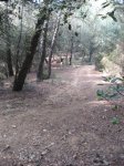 llinars_IMG_0975.jpg