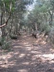 llinars_IMG_0976.jpg