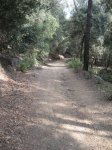 llinars_IMG_0977.jpg