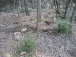llinars_IMG_0981.jpg