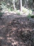 llinars_IMG_0984.jpg