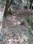 llinars_IMG_0985.jpg