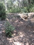 llinars_IMG_0986.jpg