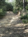 llinars_IMG_0987.jpg