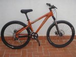 Copia de Mi bici (2) (Medium).JPG