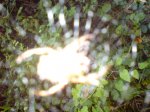 DSC00164.JPG