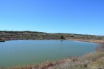 DSC_1493.jpg