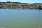 DSC_1494.jpg