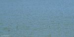 DSC_1495.jpg