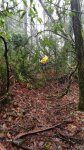 IMG-20170305-WA0000.jpg