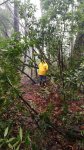 IMG-20170305-WA0001.jpg