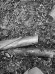 IMG-20170305-WA0002.jpg
