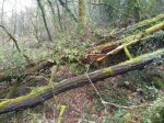 IMG-20170306-WA0000.jpg