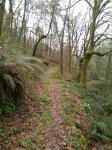 IMG-20170306-WA0001.jpg