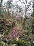 IMG-20170306-WA0006.jpg
