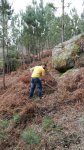 IMG-20170311-WA0000.jpg
