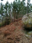 IMG-20170311-WA0002.jpg