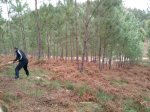 IMG-20170311-WA0003.jpg