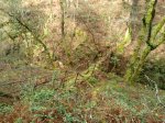 IMG-20170306-WA0009.jpg