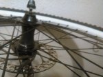 IMG_20170204_164806.jpg