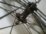 IMG_20170204_164754.jpg