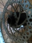 IMG_20170204_173341.jpg