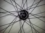 17264108_10206300282584563_3456760372829675062_n.jpg