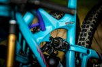 Ibis Mojo Anita fuller_unbenannte_Fotosession_5791.jpg