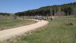 IMG_20170319_134631_BURST1_2080x1170.jpg