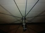 IMG_20170320_132126.jpg