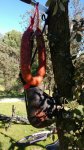 IMG-20170319-WA0001.jpg