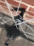 IMG-20170313-WA0023.jpg