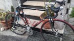 20160609_183118.jpg