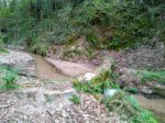 IMG-20170316-WA0008.jpg