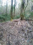 IMG-20170316-WA0010.jpg