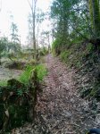 IMG-20170316-WA0011.jpg
