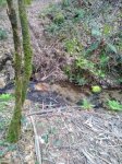 IMG-20170316-WA0002.jpg