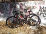 P_20161003_165453.jpg