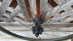 20170323_084309 (Copy).jpg