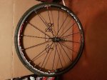 20170320_124934.jpg