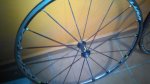 IMG_20170320_201055.jpg