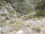 DSCN1724.JPG