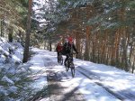 IMG_20170325_104207.jpg