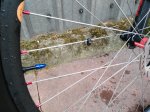 IMG_20170326_140540.jpg