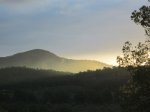 IMG_3659.JPG