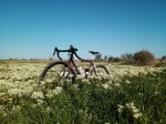 IMG_20170328_192717_461.jpg