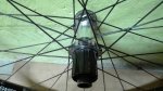 IMG_20170321_160220.jpg