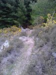 DSC_0372.jpg