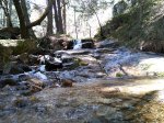 IMG_20170401_140246.jpg